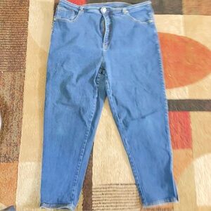 Vintage La blues jeans size 22